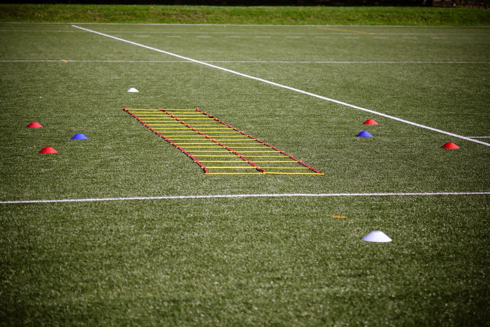 Agility ladder and training cones set up on a turf field